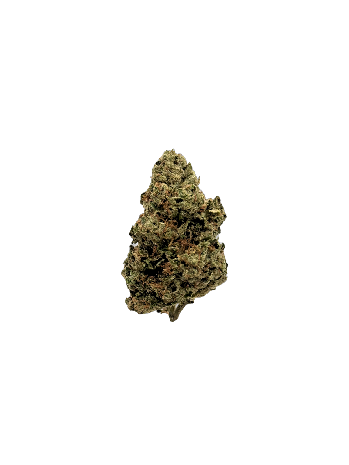 Chimera King - Organic Living Soil cannabis flower bud