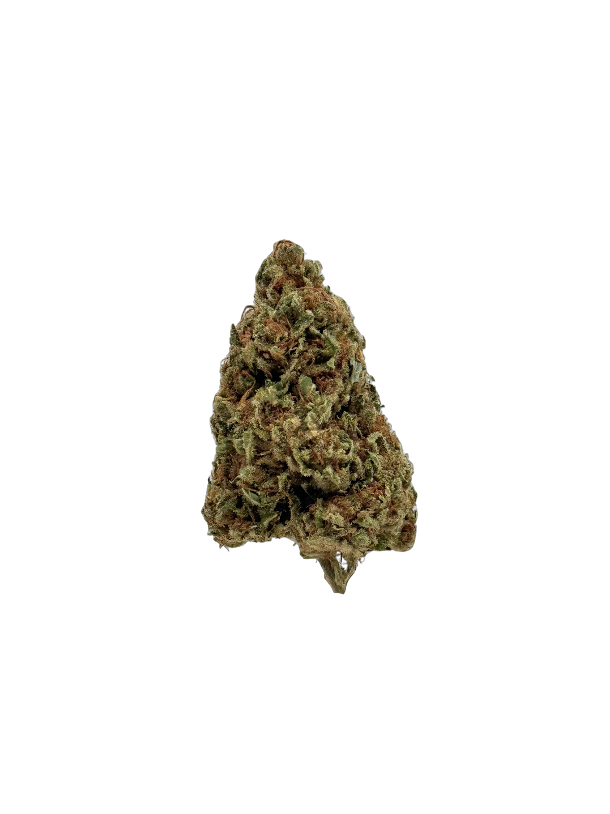 Chocolope - Organic Living Soil cannabis flower bud