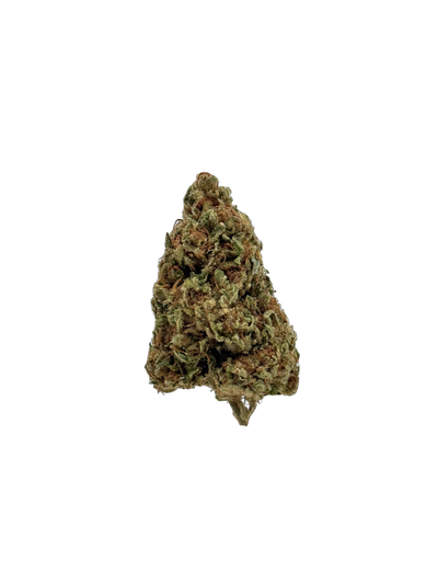 Chocolope - Organic Living Soil cannabis flower bud
