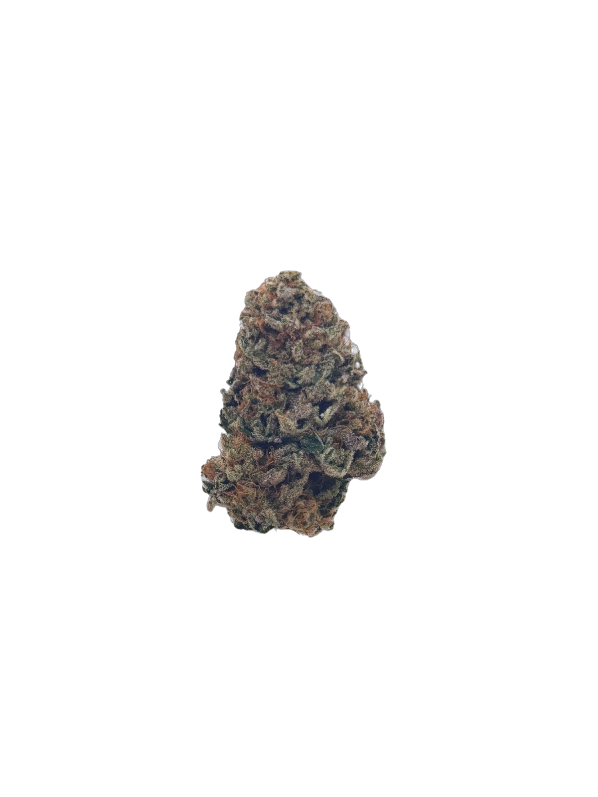 Chocolope cannabis flower bud