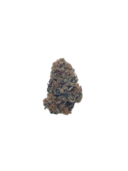 Chocolope cannabis flower bud