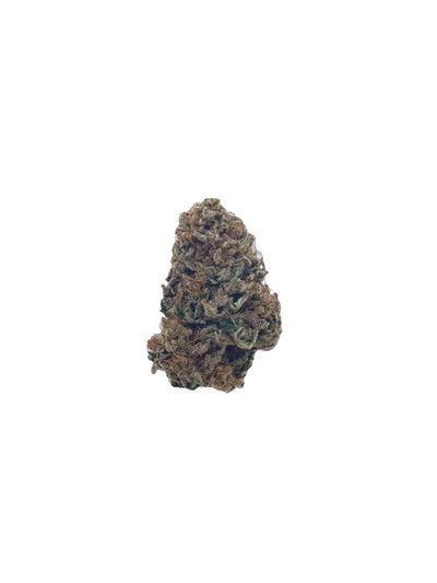 Chocolope cannabis flower bud