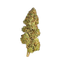 Christmas Cracker - Cannibisters Limited Collection cannabis flower bud