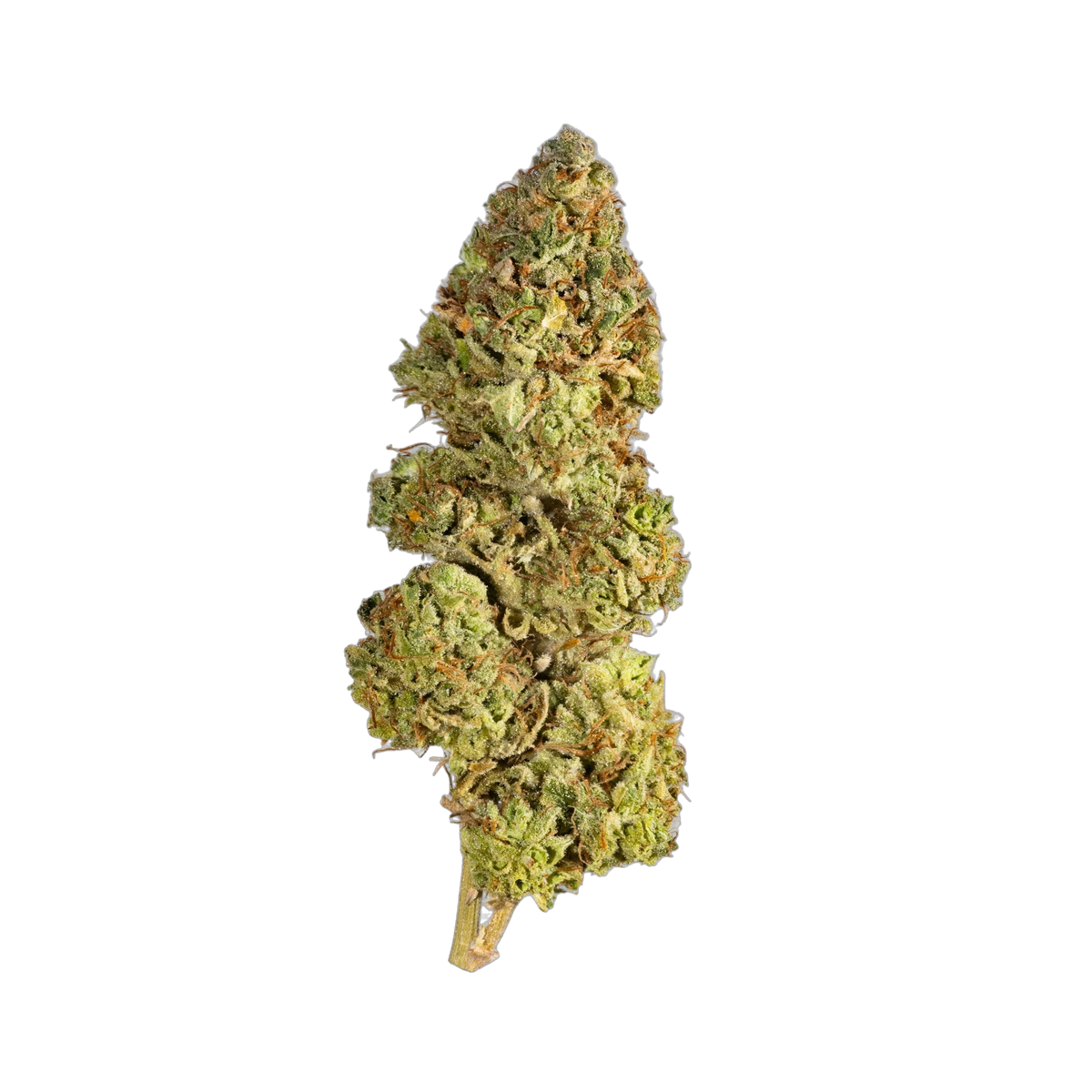 Christmas Cracker - Cannibisters Limited Collection cannabis flower bud