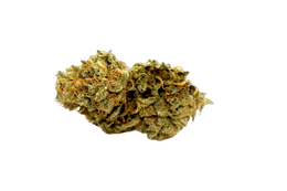 Citral Glue cannabis flower bud