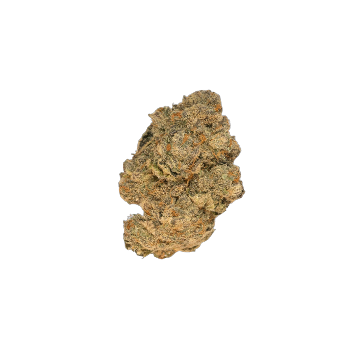 Colorado Night Shifter cannabis flower bud
