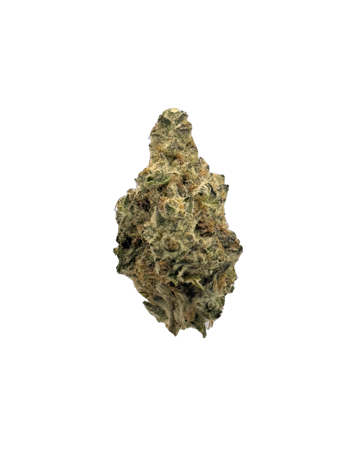Colt 45 cannabis flower bud