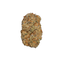 Dante Inferno cannabis flower bud