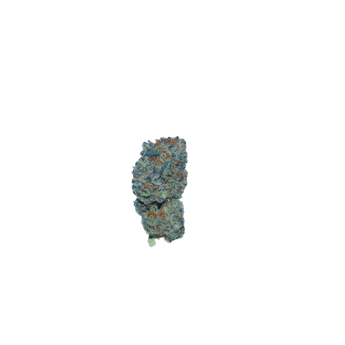 Deep Fried Oreo's cannabis flower bud