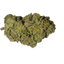 Diagonal Kush cannabis cannabis | Cannibisters Cape Town