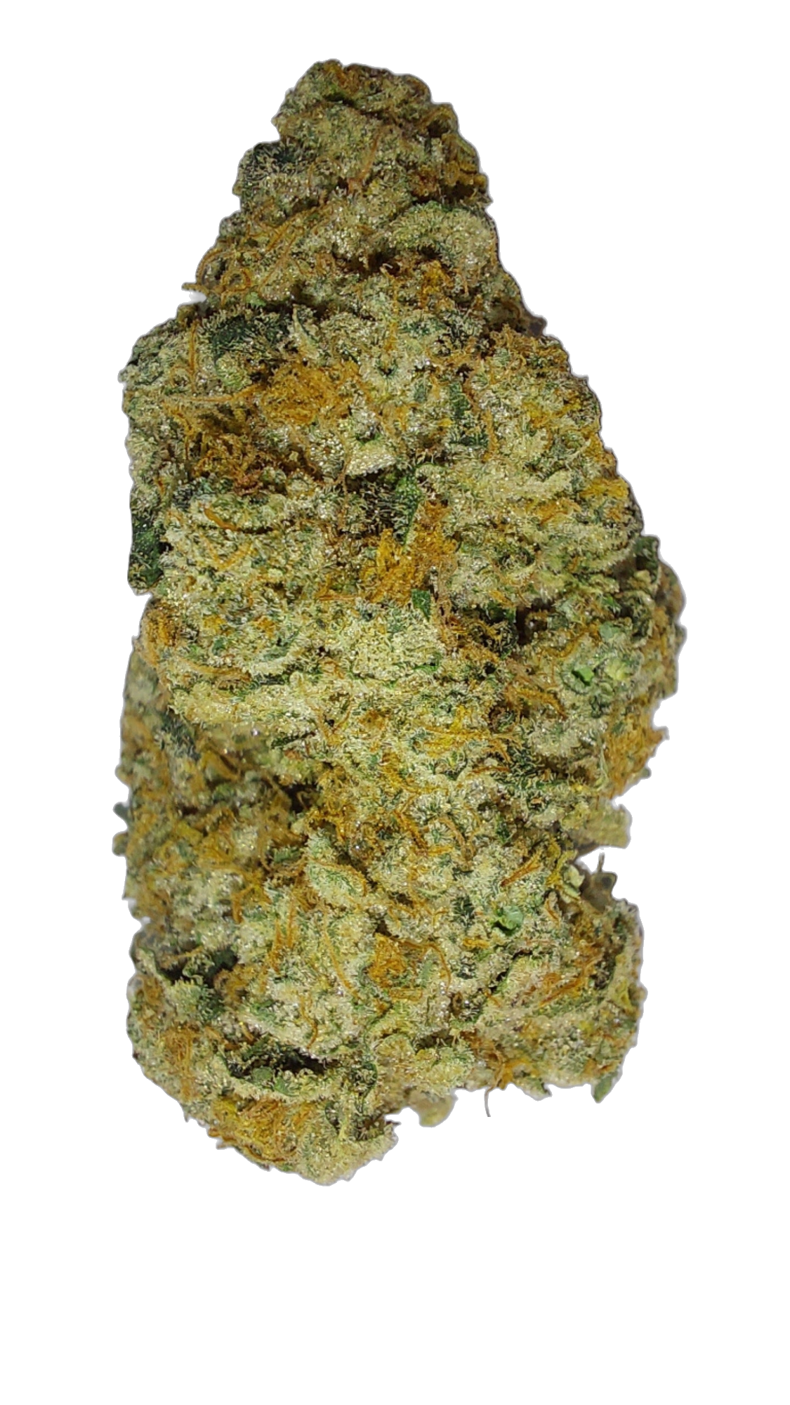 Dolce Dank cannabis flower bud