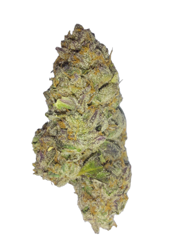 Dosi Do cannabis flower bud