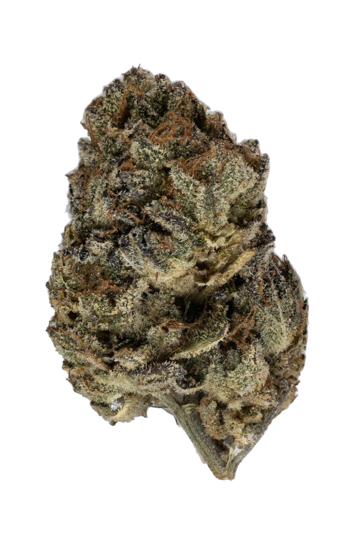 Dosi Punch cannabis flower bud