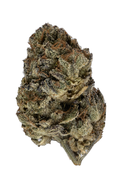 Dosi Punch cannabis flower bud