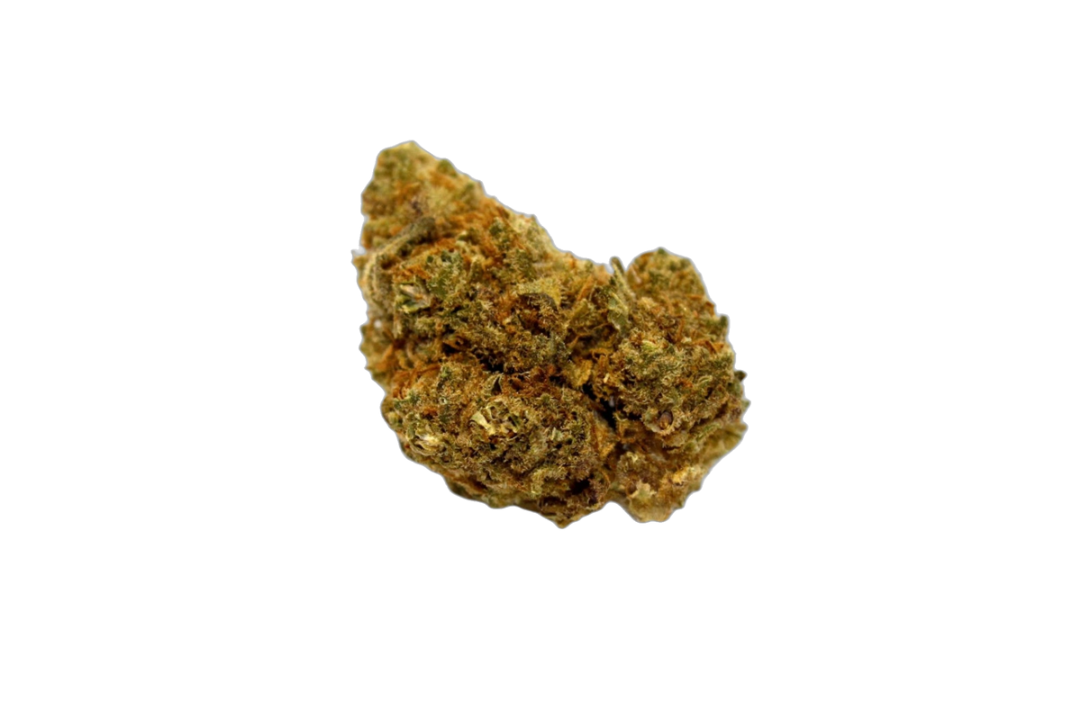 Double-Stuffed Sorbet cannabis flower bud