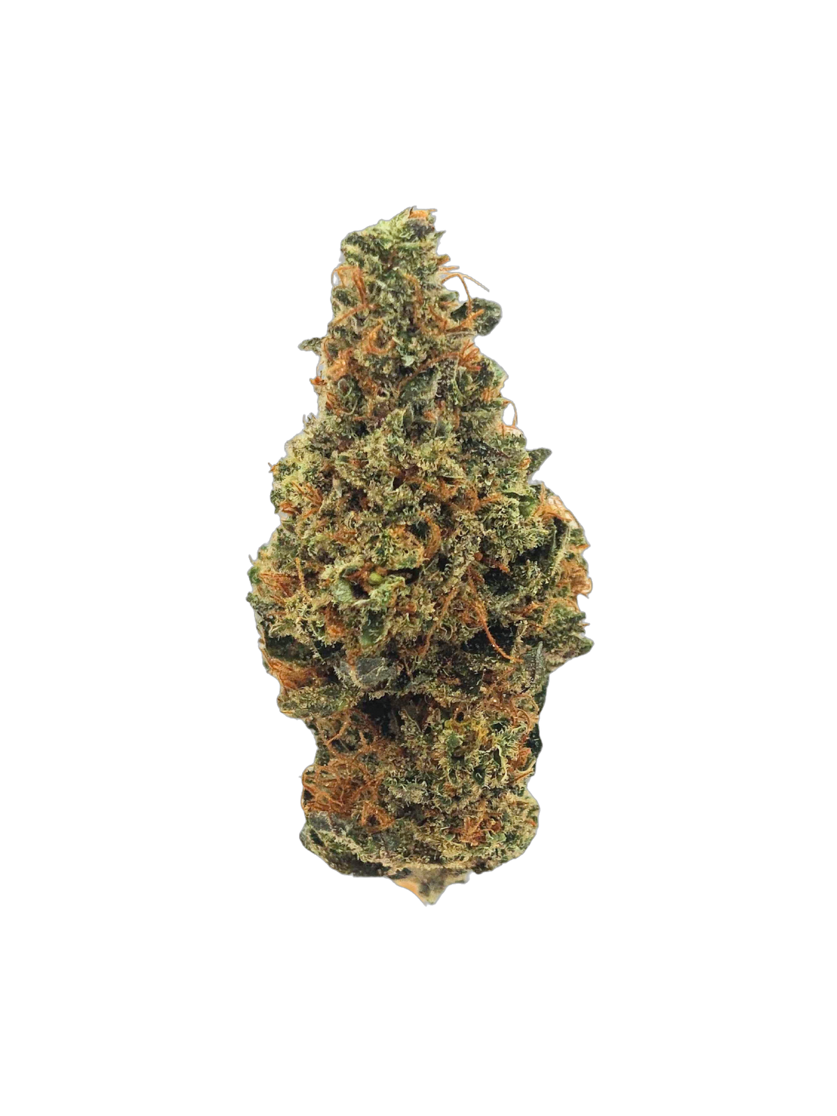Durban Poison cannabis flower bud