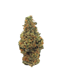 Durban Poison cannabis flower bud