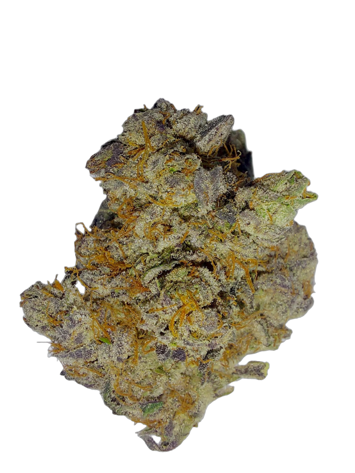 East Coast Sour Diesel cannabis flower bud