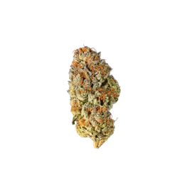 ELVIS - Cannibisters Limited Collection cannabis flower bud