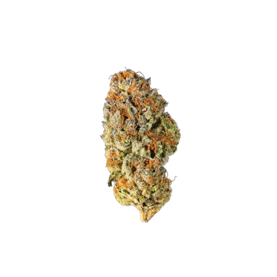 ELVIS - Cannibisters Limited Collection cannabis flower bud