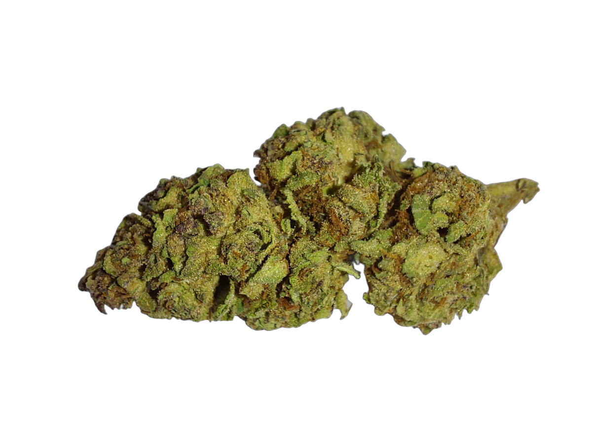 Elvis (Living Soil) cannabis flower bud