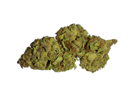 Elvis (Living Soil) cannabis flower bud