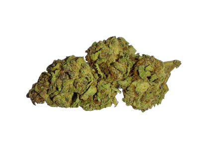 Elvis (Living Soil) cannabis flower bud