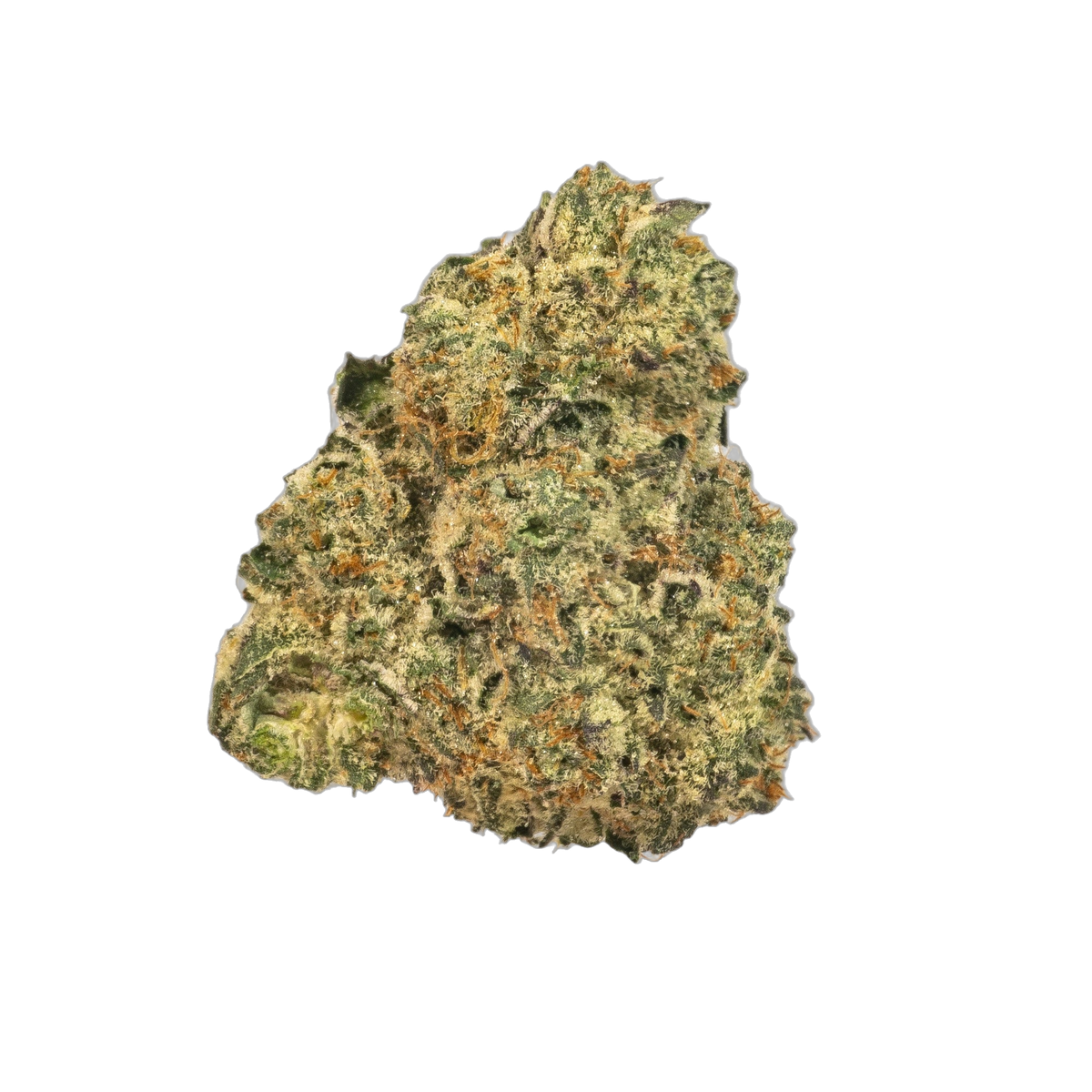 Fig cannabis flower bud