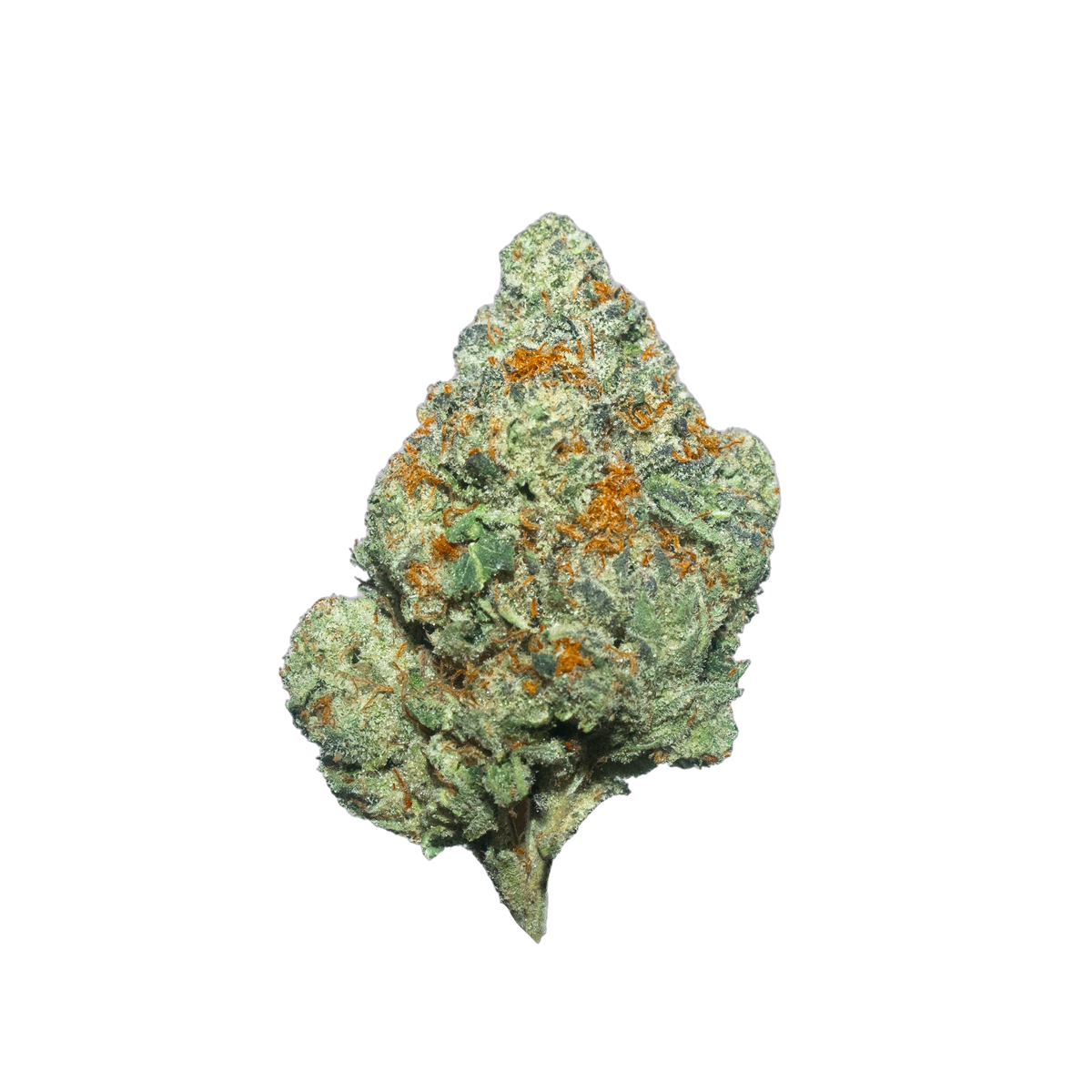 Fire Crotch cannabis flower bud