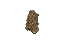 Full Gas cannabis flower bud