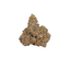 Gary Payton cannabis flower bud