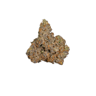 Gary Payton cannabis flower bud