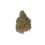 Gary Poppins cannabis flower bud