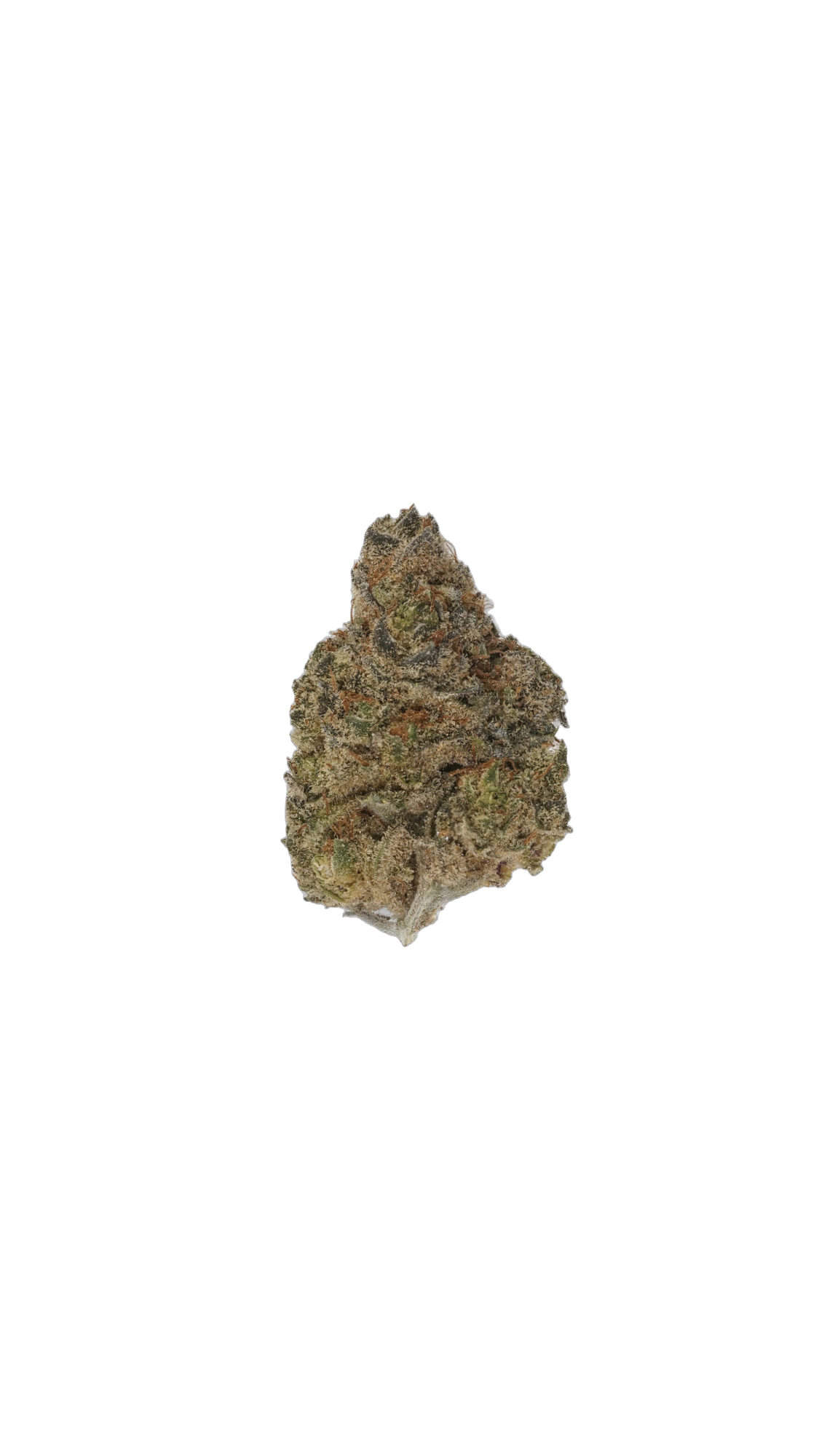 Gary Poppins cannabis flower bud