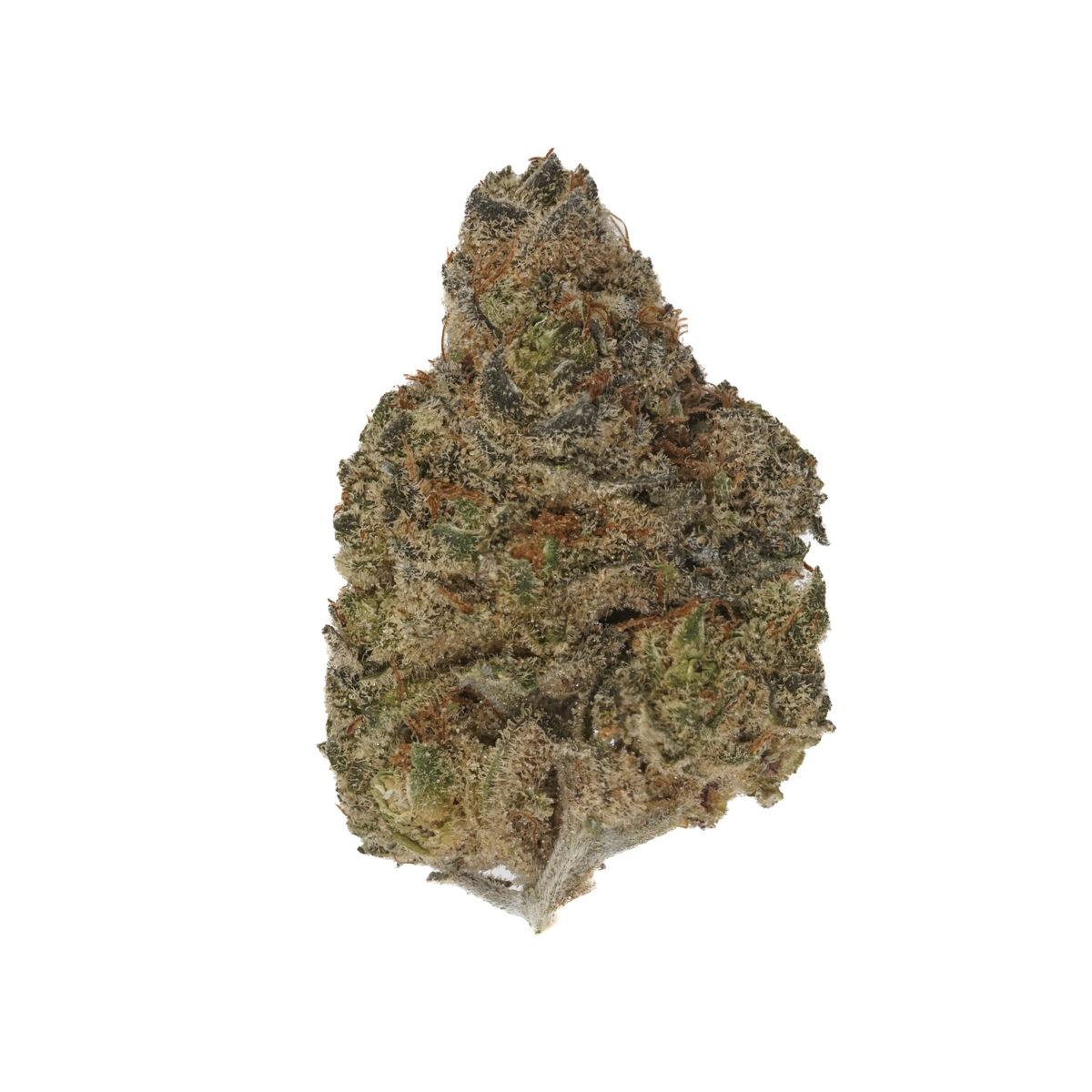 Gary Poppins cannabis cannabis | Cannibisters Cape Town