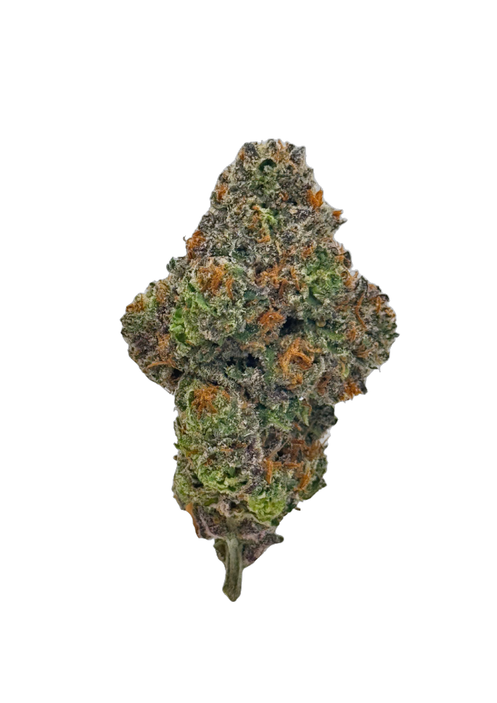 Gastro Pops cannabis flower bud