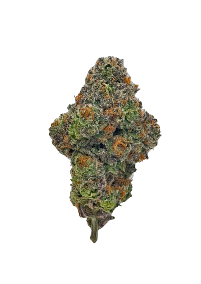 Gastro Pops cannabis flower bud