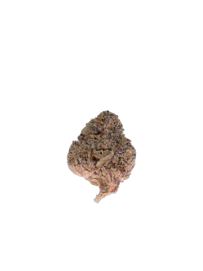 Guava cannabis flower bud