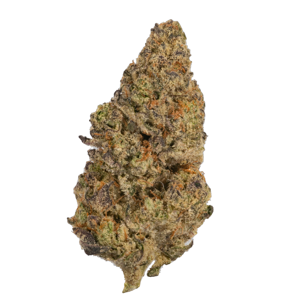 Gelato Drops cannabis flower bud