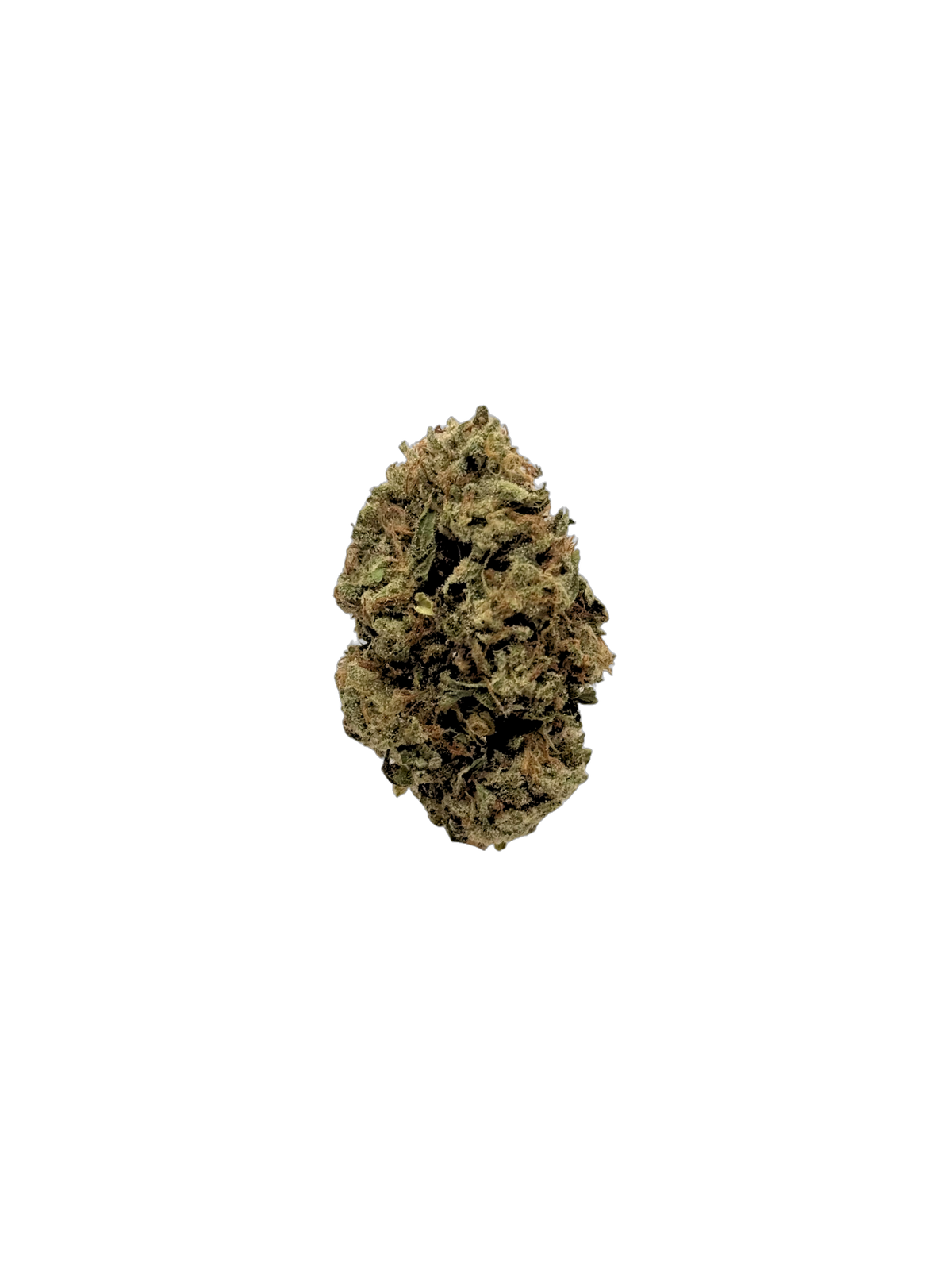 Gelato Jealousy - Organic Living Soil cannabis flower bud