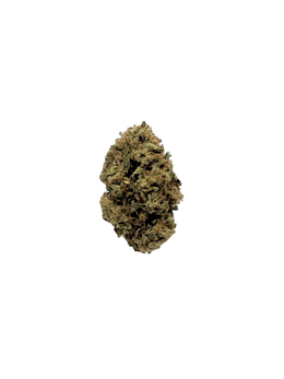 Gelato Jealousy - Organic Living Soil cannabis flower bud