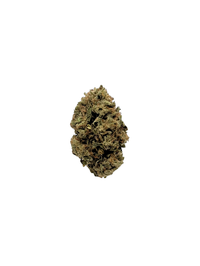 Gelato Jealousy - Organic Living Soil cannabis flower bud