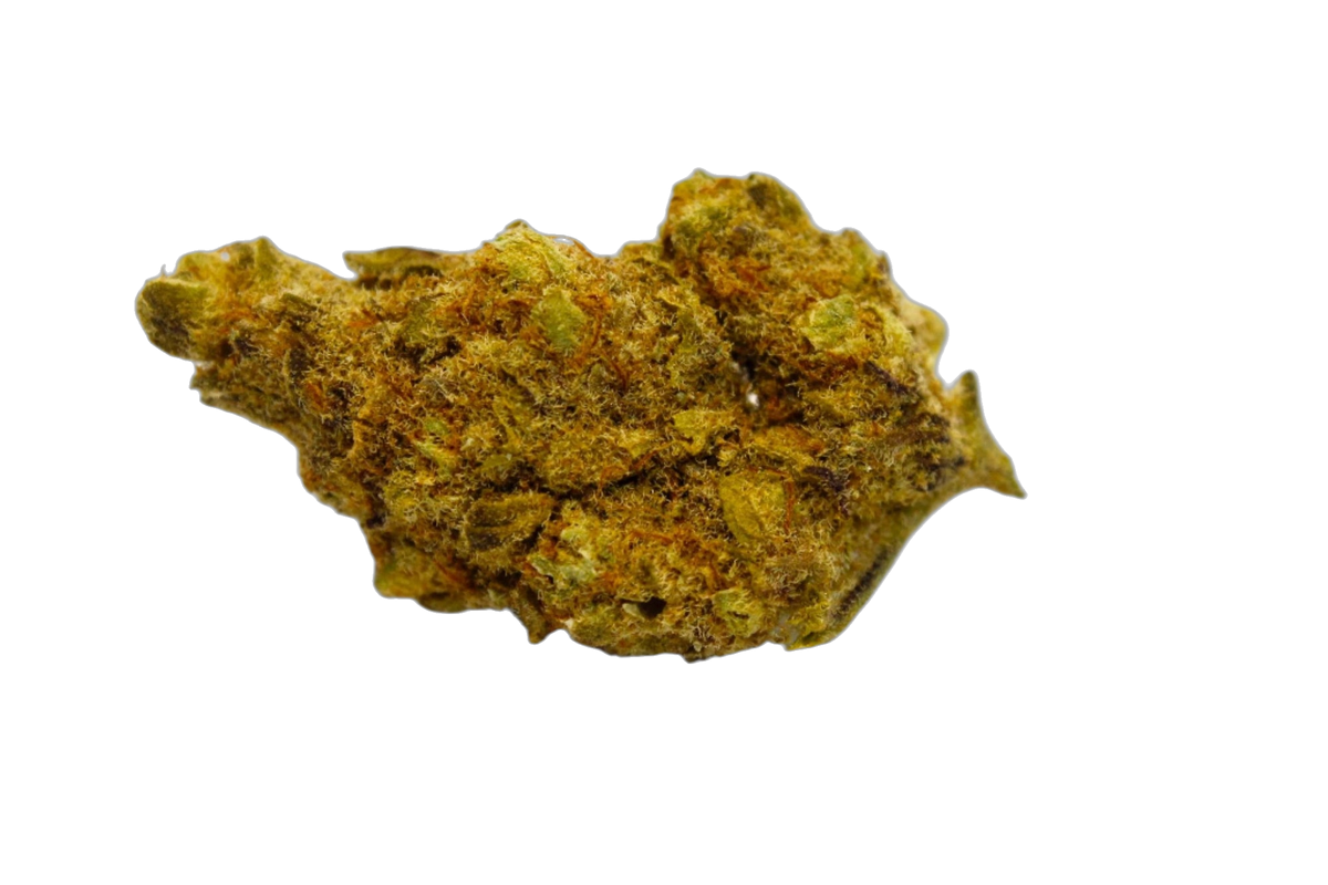Georgie Pie cannabis flower bud