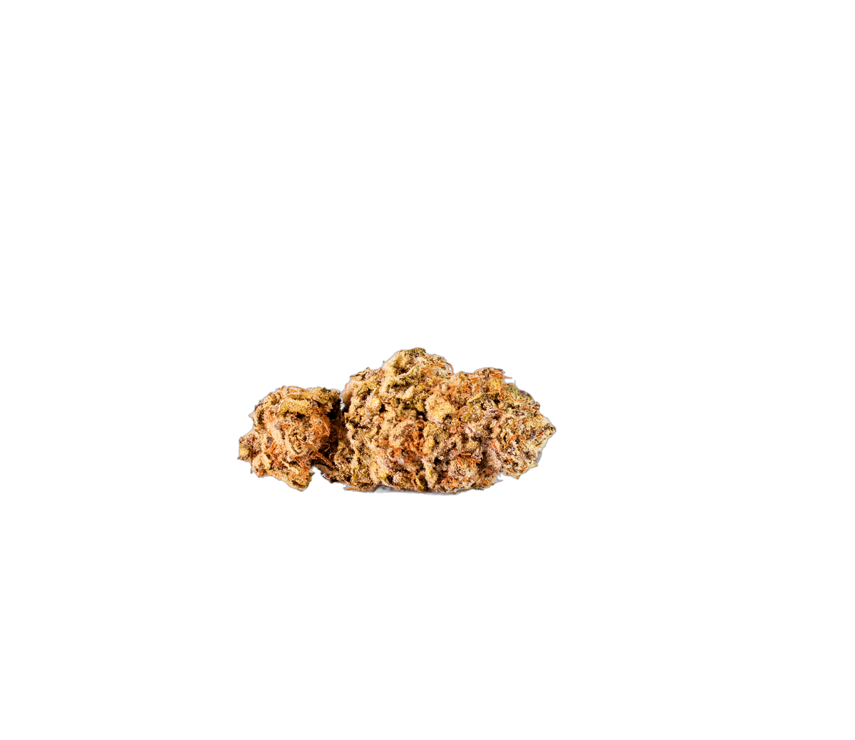 Ghost Cookies cannabis flower bud