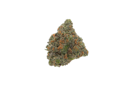 Girl Scout Cookies cannabis flower bud