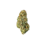 Girl Scout Cookies - Cannibisters Limited Collection cannabis flower bud
