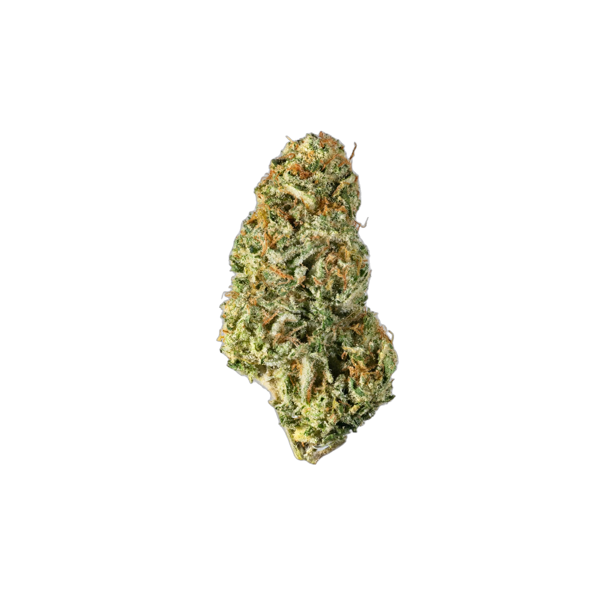 Girl Scout Cookies - Cannibisters Limited Collection cannabis flower bud