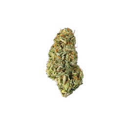 Girl Scout Cookies - Cannibisters Limited Collection cannabis flower bud