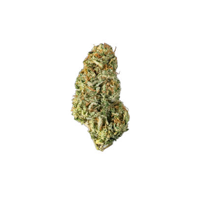 Girl Scout Cookies - Cannibisters Limited Collection cannabis flower bud