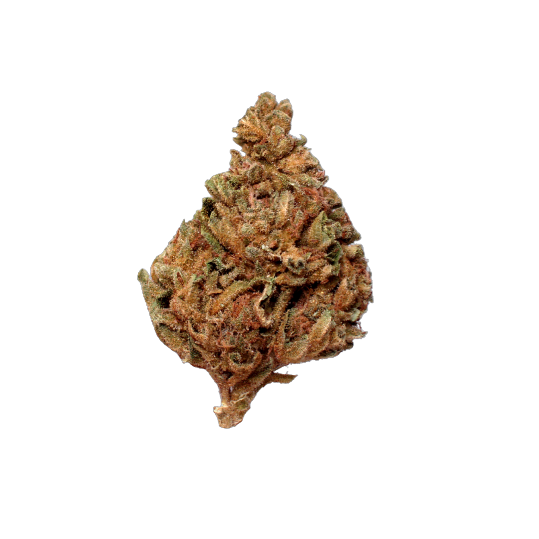 GMO (Organic Living Soil) cannabis flower bud